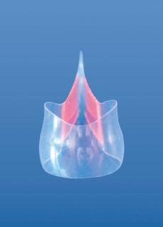 Изображение товара «Матрицы 1.490(2) контурн лавсан самоклеящ д/премоляров форма 2 шт. N12»