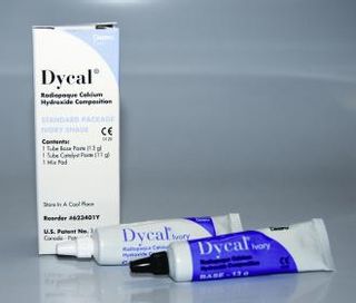 Изображение товара «Дайкал - двухкомпонент.проклад. материал хим.отверждения 13г+11мл(623401Y)шт. N1»